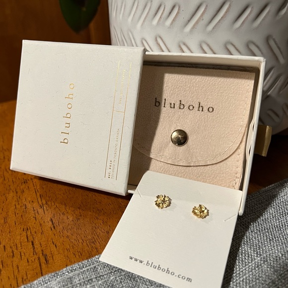 bluboho Jewelry - Bluboho Jilly Box 14kt gold earrings